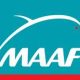 maaf.jpg